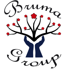 logo bruma